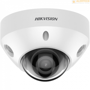 DZ2CD2546G2-IS, ACUSENSE, analytické funkcie: ochrana perimetra + detekcia tváre, ČB obraz v noci