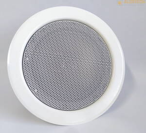 DL-X 30-165/T plus reproduktor