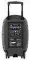 IBIZA PORT12UHF-MKII prenosný reproduktor a dva mikrofóny IBIZA PORT12UHF-MKII prenosný reproduktor a dva mikrofóny
