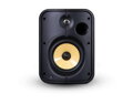Bluesound Professional BSP1000 - streamovací reproduktor PoE Bluesound Professional BSP1000 - streamovací reproduktor PoE