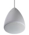 DL-H 60-165/T plus-EN54 - závesný evakuačný reproduktor