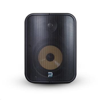 Bluesound Professional BSP1000 - streamovací reproduktor PoE