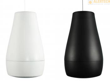 Biamp Desono P6 - Závesný reproduktor