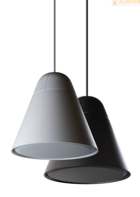 Biamp P60DT - závesný reproduktor